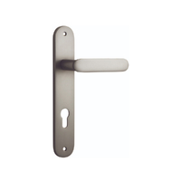 Iver Bronte Door Lever Handle on Oval Backplate Entrance Satin Nickel 14764E85