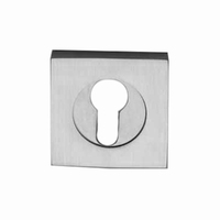 Kr Lucas BlueSpec Euro Escutcheon Square Outer Rose 54x54mm Stainless Steel 2004/2000