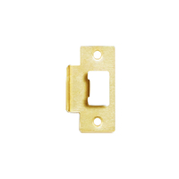 Parisi T Strike Plate Polished Brass STR-06-PB