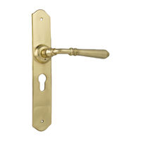 Tradco Reims Door Lever Handle on Long Backplate Euro Unlacquered Polished Brass 21353E