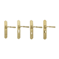 Tradco Reims Door Lever Handle on Long Backplate Unlacquered Polished Brass