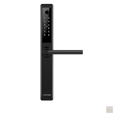 Lion Head Erskine Luxe Digital Slimline Entrance Door Lock - Available in Black and Silver Finish