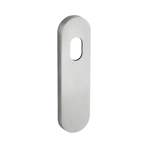 Dormakaba External Plain Plate Concealed Fix with Cylinder Hole Satin Stainless Steel 6710