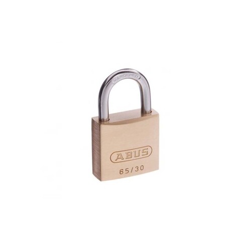 security padlock locks